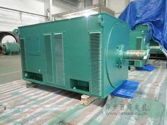 西瑪電機(jī)Y5603-10 560KW <a href=http://cchanzhuang.com/new/new-47-621.html target='_blank'><a href=http://cchanzhuang.com/new_tags_225.html target='_blank'>10kv高壓電機(jī)</a></a>